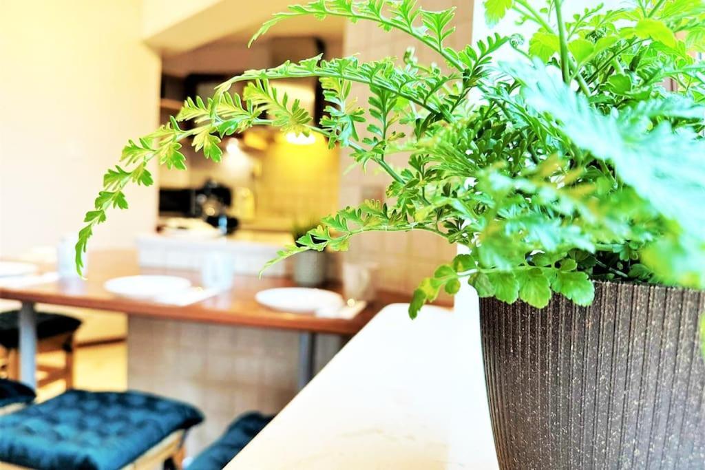 Exclusive Penthouse Near Citycenter 120M2 +Netflix Krakau Exterior foto